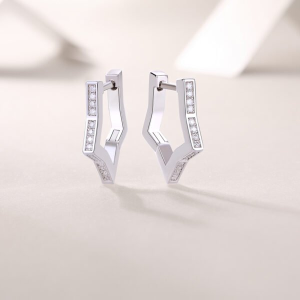 Moissanite hoop earrings