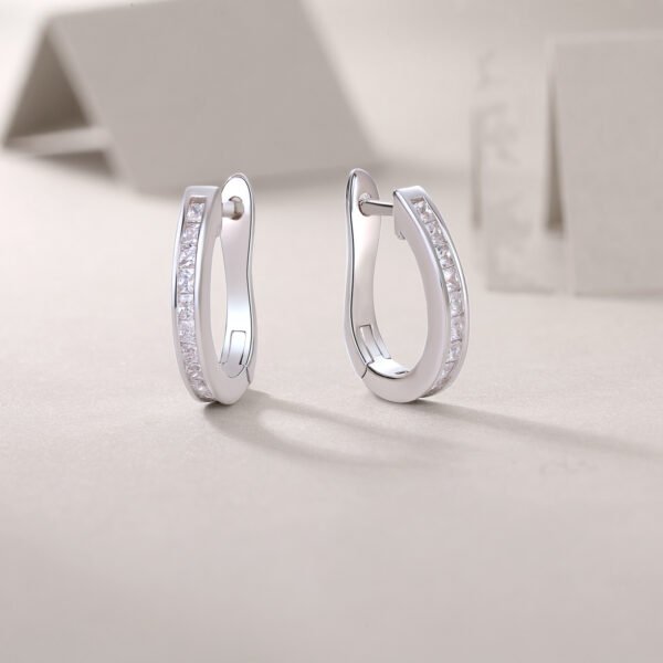 Moissanite hoop earrings