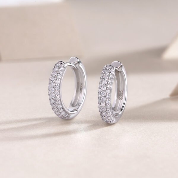Moissanite circle hoop earrings