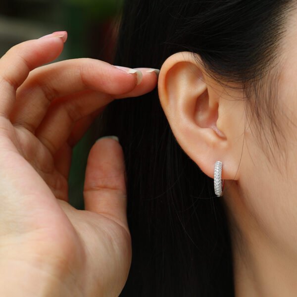 Moissanite circle hoop earrings - Image 3