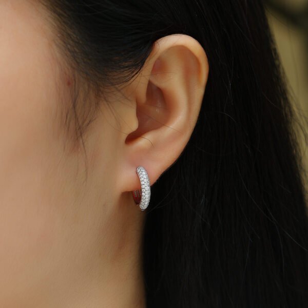 Moissanite circle hoop earrings - Image 4