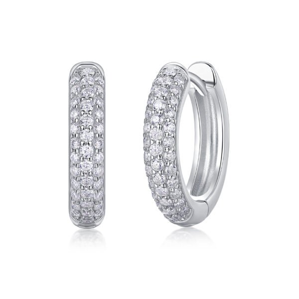 Moissanite circle hoop earrings - Image 5